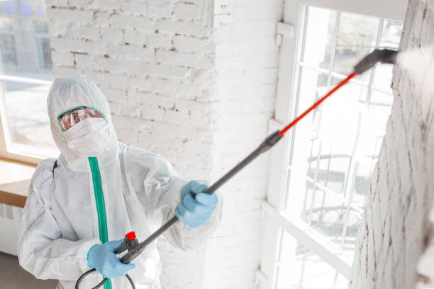 Best HVAC Mold Inspection and Cleaning  in Sault Ste Marie, MI
