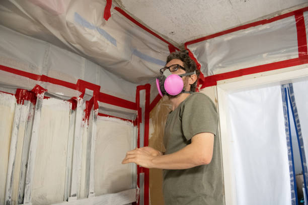Best Environmental Consulting for Mold Prevention  in Sault Ste Marie, MI