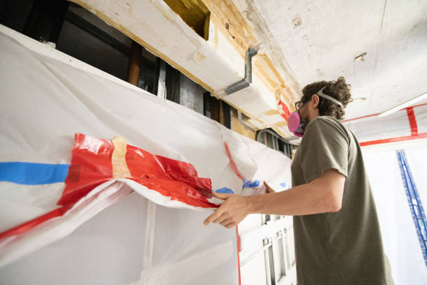 Sault Ste Marie, MI Mold Removal Company