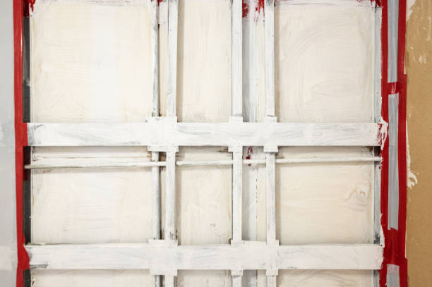 Best Attic Mold Removal  in Sault Ste Marie, MI